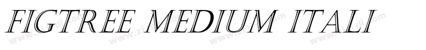 Figtree Medium Itali字体转换